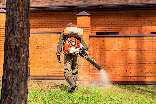 Trusted Mosquito Control service in Traverse City, MI - Nex Pest Control